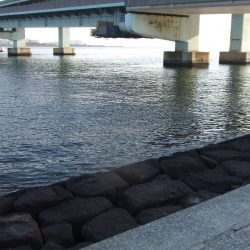 今期初チヌも、ロッド破損